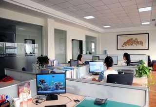 南京网站建设公司模板网站建设